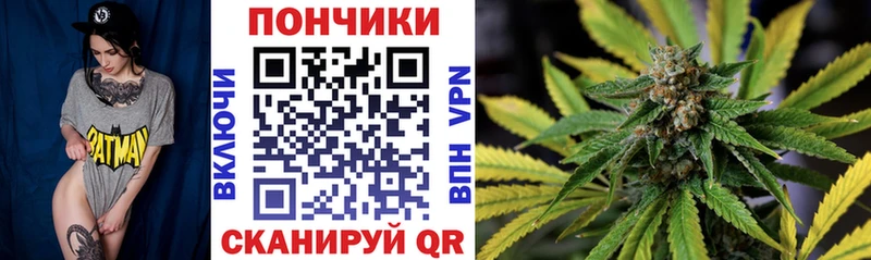 Сколько стоит Кашин Гашиш  МЕТАМФЕТАМИН  МЕФ  МАРИХУАНА  Cocaine  A-PVP  Амфетамин 