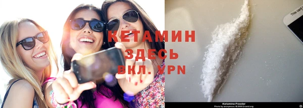 крисы Алексин