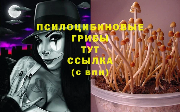 mix Алзамай