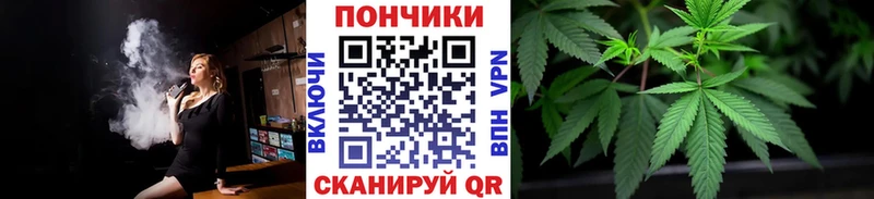 Марихуана план  кракен как зайти  Кашин 